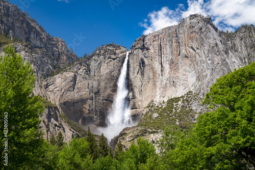 Yosemite Falls Spring Yosemite National Park California USA