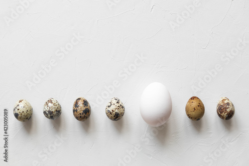 The Imposter egg for Easter - The hen egg was hidden among the quail eggs