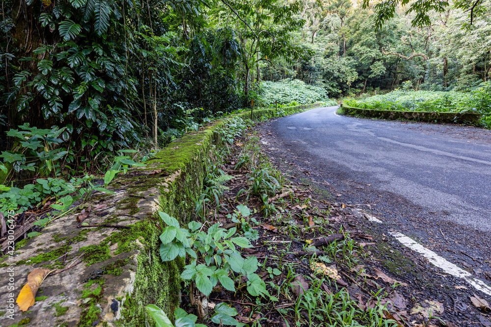 Moss covers the wall on a bridge along the road to Hana, Maui, Hawaii
Moss covers the wall on a bridge along the road to Hana, Maui, Hawaii
