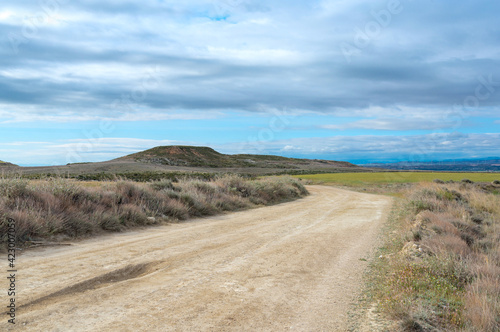 Road in Nature Park and Reserve Bardenas Reales Spain