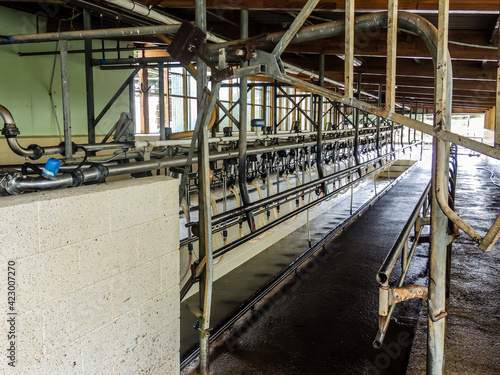Dairy farm machines and cattle. Taranaki, New Zealand