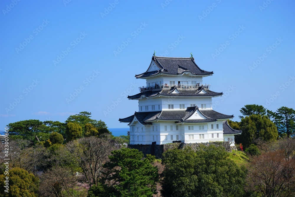 Fototapeta premium Odawara Castle in Kanagawa prefecture, Japan - 小田原城 神奈川 日本