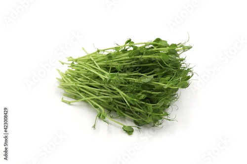 fresh pea sprouts on white background