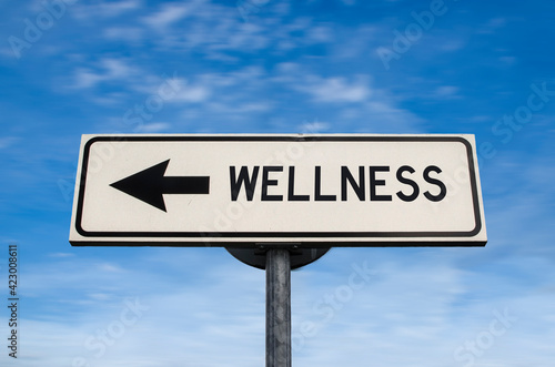Wellness road sign, arrow on blue sky background. One way blank road sign with copy space. Arrow on a pole pointing in one direction.