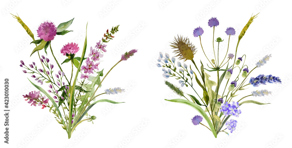 Delicate and charming bouquets of wild herbs and flowers. Clover flowers and leaves, dandelion leaves, spikelets, lavender flowers and forget-me-nots. Easy hand-made watercolors.