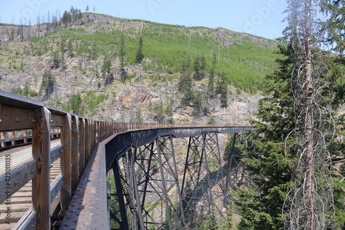 wooden bridge in the mountains