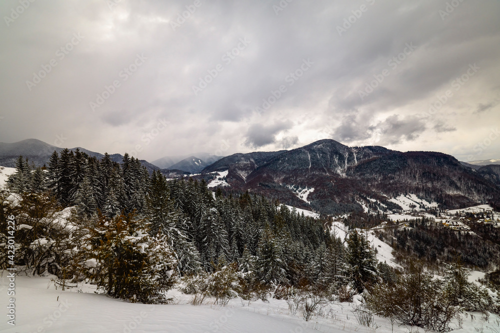 mountain landscape in winter on a cloudy day. Carpathian Mountains, Romania.