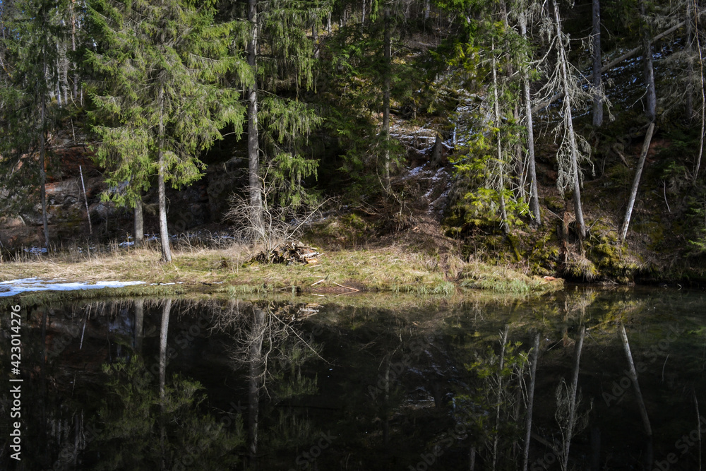 Beautiful river surrounded by forest with perfectly clean water with a beautiful reflection of the forest landscape and green trees.