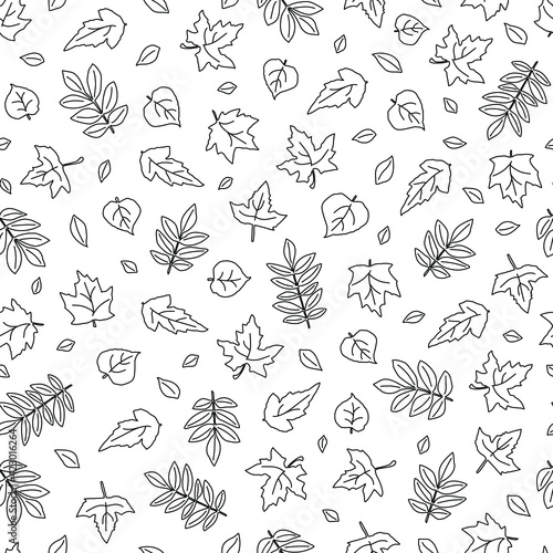 Contour graphic leaves. Black and white background. Seamless pattern. Botanical illustration. Vector.