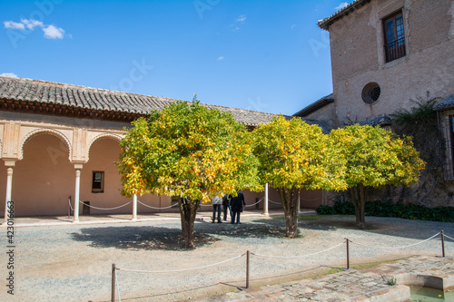 Obraz na plátně Granada: aranci in un giardino dell' Alhambra