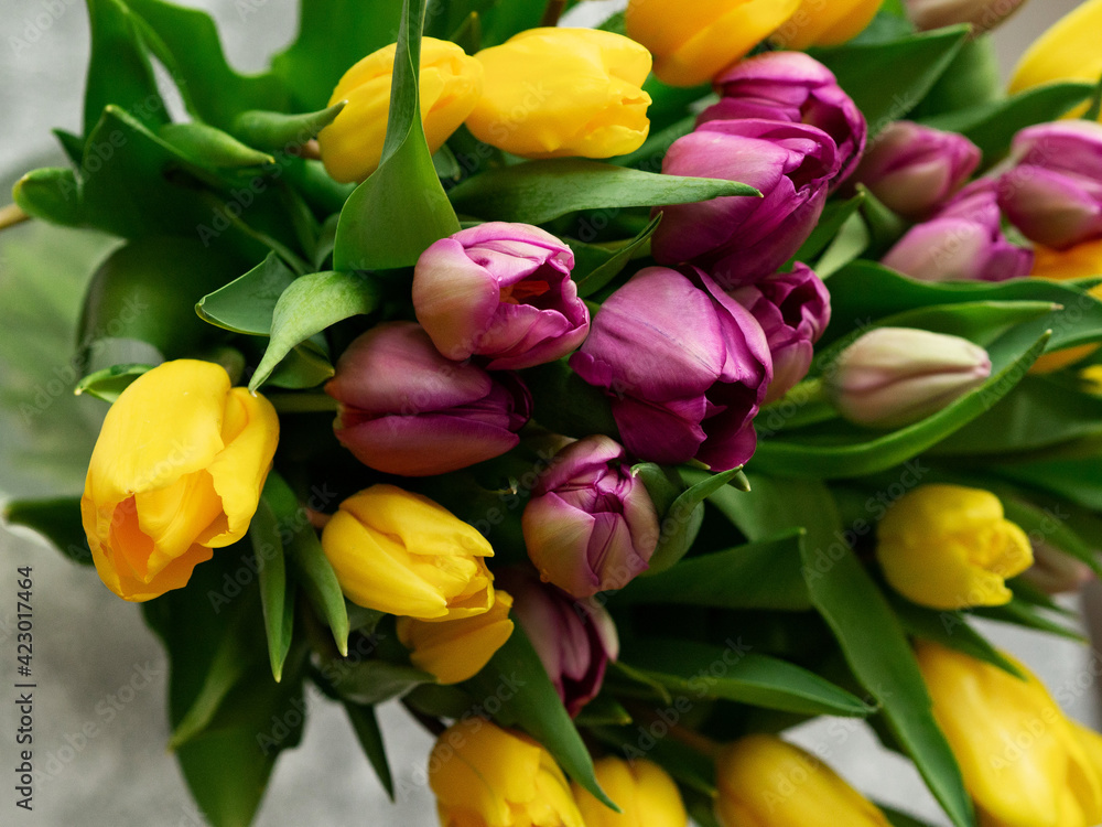 Background: a bouquet of purple tulips on gray, the concept of spring, holiday, mother's day. Background: a bouquet of purple tulips on gray, the concept of spring, holiday, mother's day.