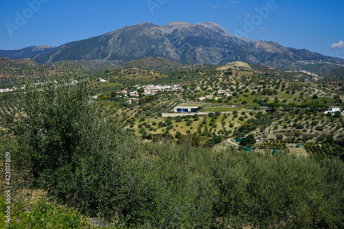 Paisaje de la Axarquía malagueña (Andalucía) mirando hacia el pico de La Maroma, punto culminante de la sierra de Tejeda y Almijara, desde un punto cercano al embalse de La Viñuela. photo