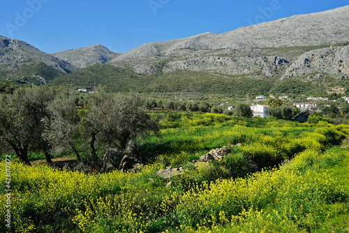 Vista paisajística primaveral del entorno de la aldea de Guaro, en la Axarquía, desde el río que lleva el mismo nombre al nacer en la parte alta del mismo caserío. photo