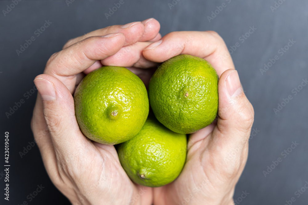 Man's hands holding three fresh limes Man's hands holding three fresh limes