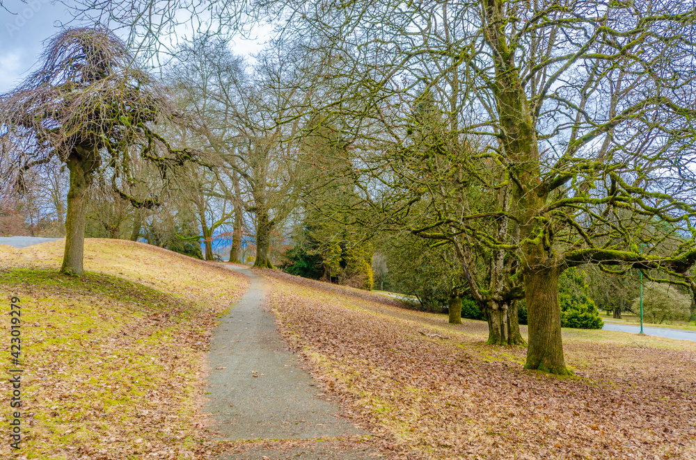 Fragment of Malcolm Lowry Trail trail in Cates Park, Vancouver, Canada Fragment of Malcolm Lowry Trail trail in Cates Park, Vancouver, Canada