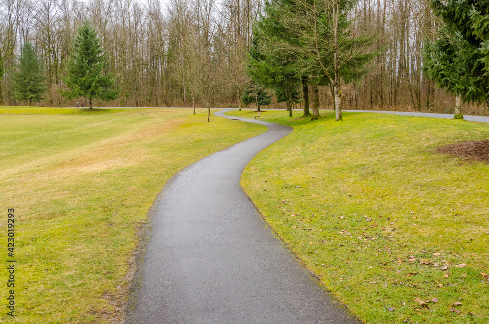 Obraz premium Fragment of Malcolm Lowry Trail trail in Cates Park, Vancouver, Canada