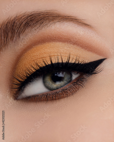 Beautiful macro shot of female eye make-up in smoky eyes style. Blue eye. Creative make-up. Perfect shape make-up and long lashes. Cosmetics. Beautiful eyes make-up. Close-up