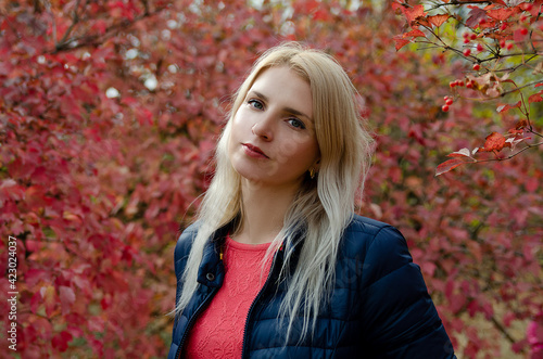 Portrait of a blonde girl on the background of a bush with red leaves