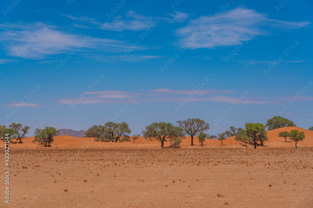 Desert landscape at the Namib-Naukluft National park, Namibia, southern Africa Desert landscape at the Namib-Naukluft National park, Namibia, southern Africa