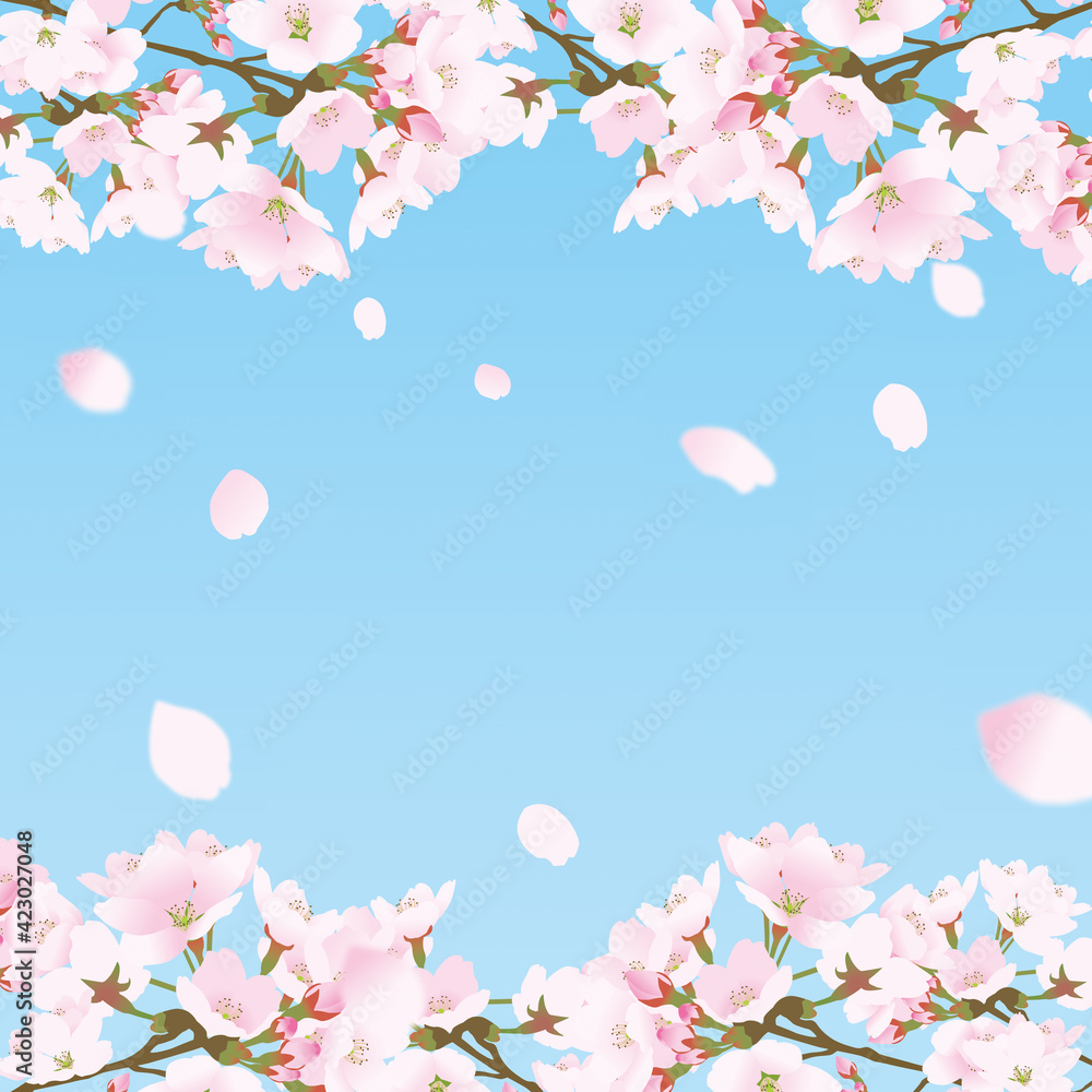 桜上下の正方形のフレームと散る桜の花びら青