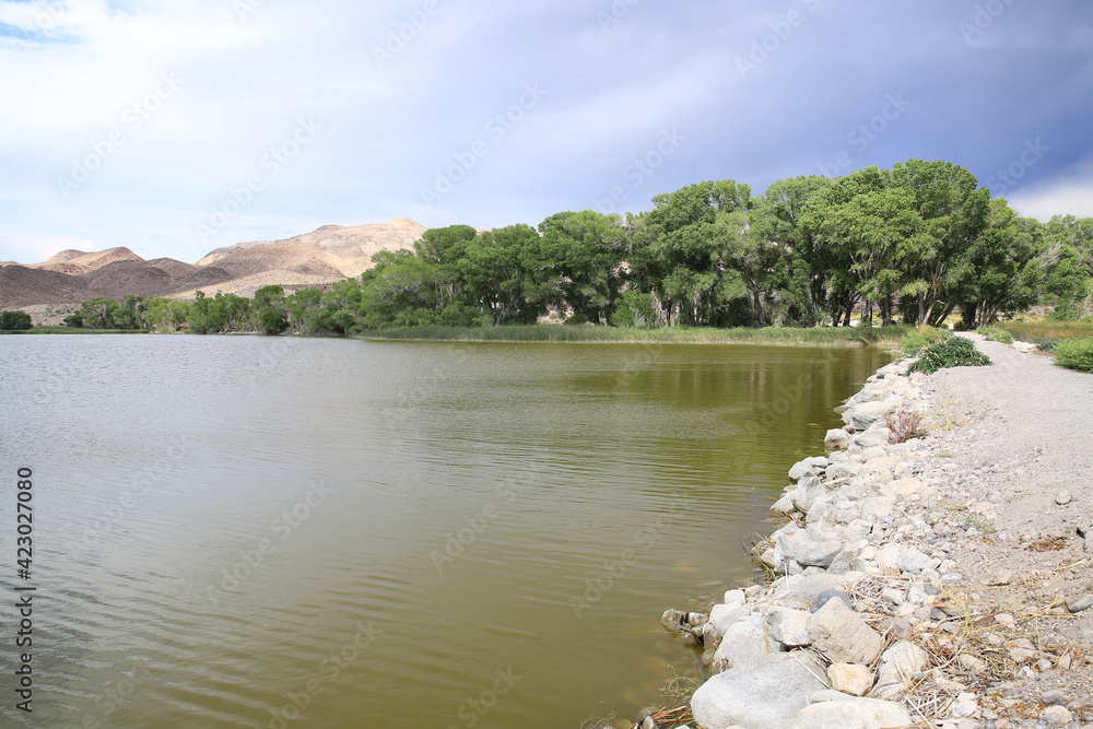 Fototapeta premium Pahranagat National Wildlife Refuge in Nevada, USA