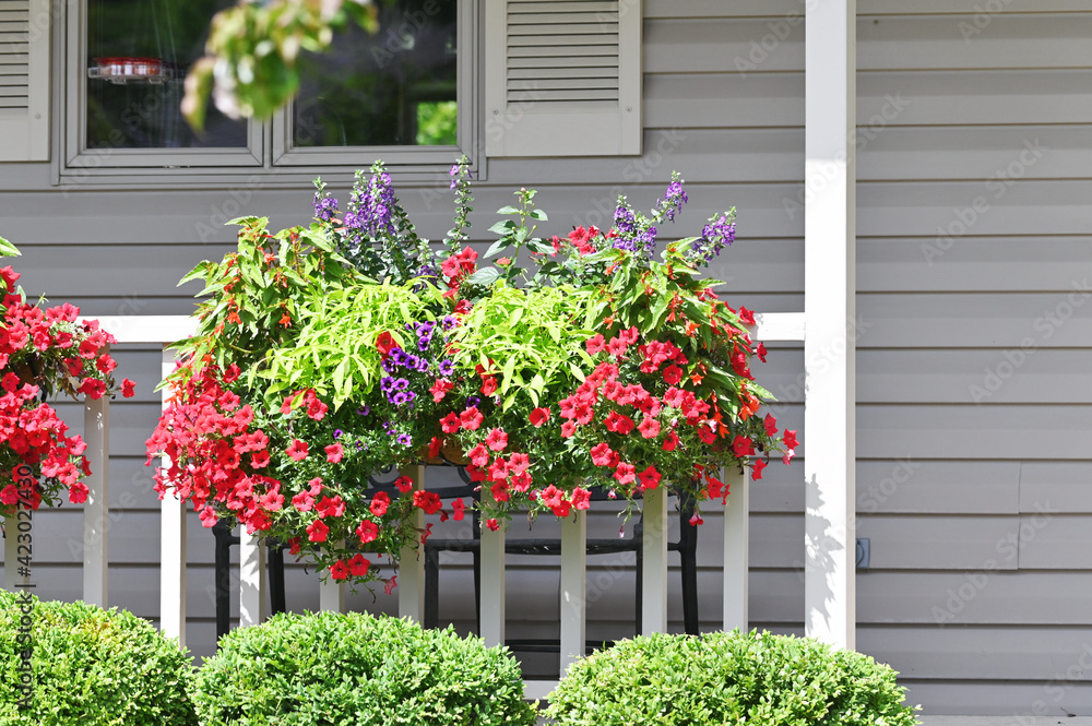 Fototapeta premium Flower Pots on Porch Railing
