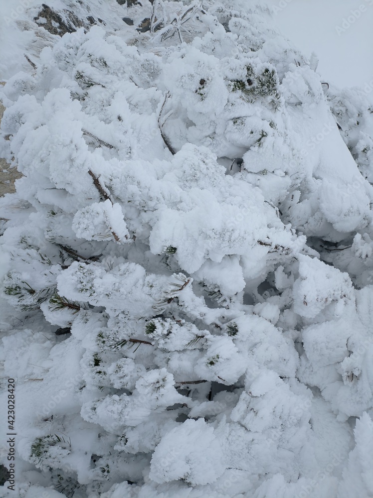 Fototapeta premium Winter landscape in Austrian alps