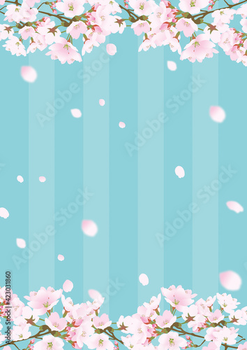 桜上下の縦縦じまのフレームと散る桜の花びら青緑