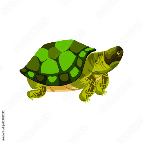 Vector Cartoon Smiling Green Turtle
