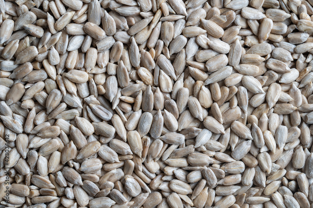Peeled sunflower seeds pile background, close up Peeled sunflower seeds pile background, close up