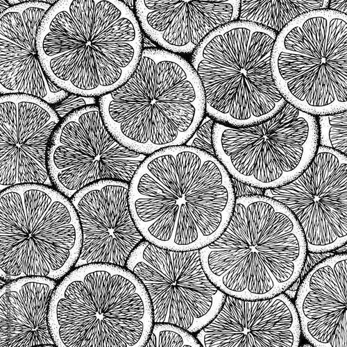 Hand drawn slices of citrus fruits, lime, lemon, mandarin or orange. Vector illustration. All over prin. Engraved Vintage style.