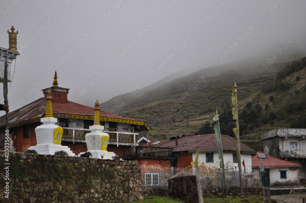 Budhist monastry and Traditional Tibetan Stupa
