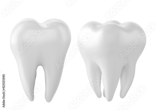 Dental model of a tooth, illustration as a concept of dental examination of teeth, dental health and hygiene.