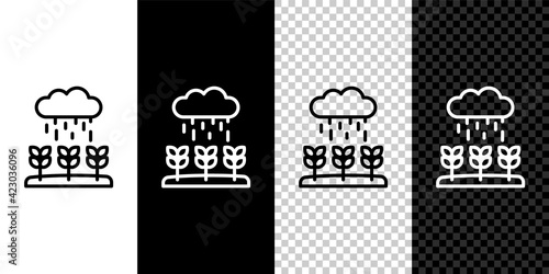 Set line Plant sprouts grow in the rain icon isolated on black and white, transparent background. Seedling concept. Vector