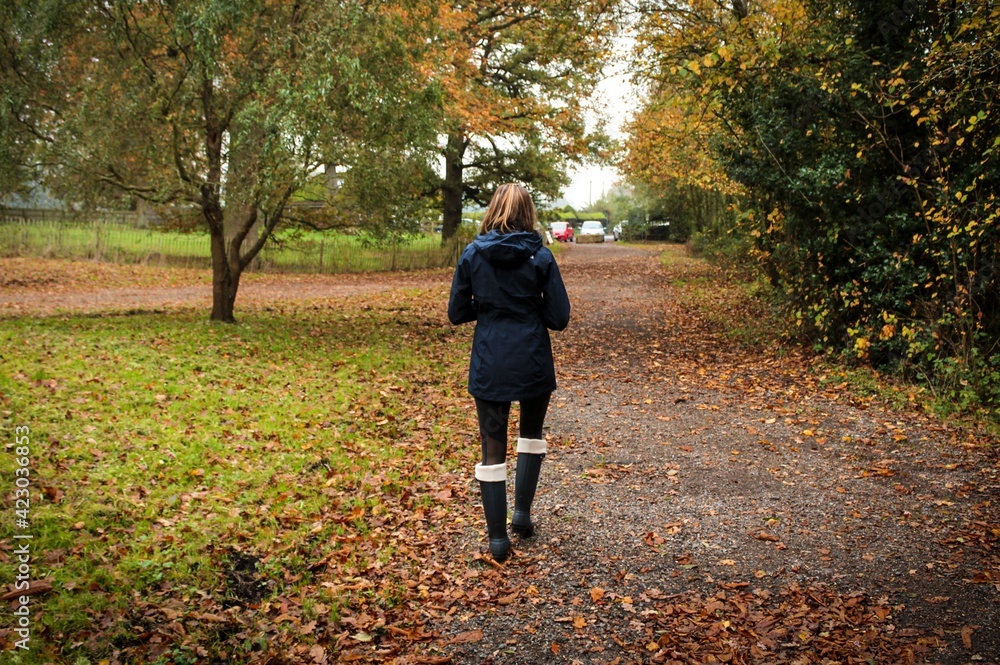 Fototapeta premium Autumn Colours - Afternoon Walk