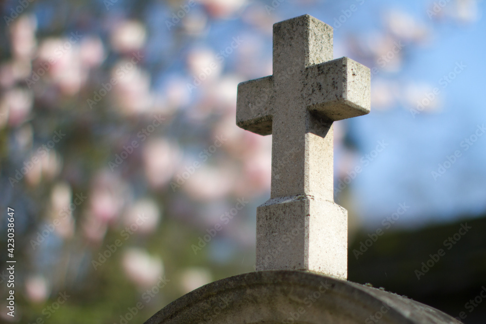 graveyard stone cross with beautiful springtime magnolia flowers, blurred background graveyard stone cross with beautiful springtime magnolia flowers, blurred background