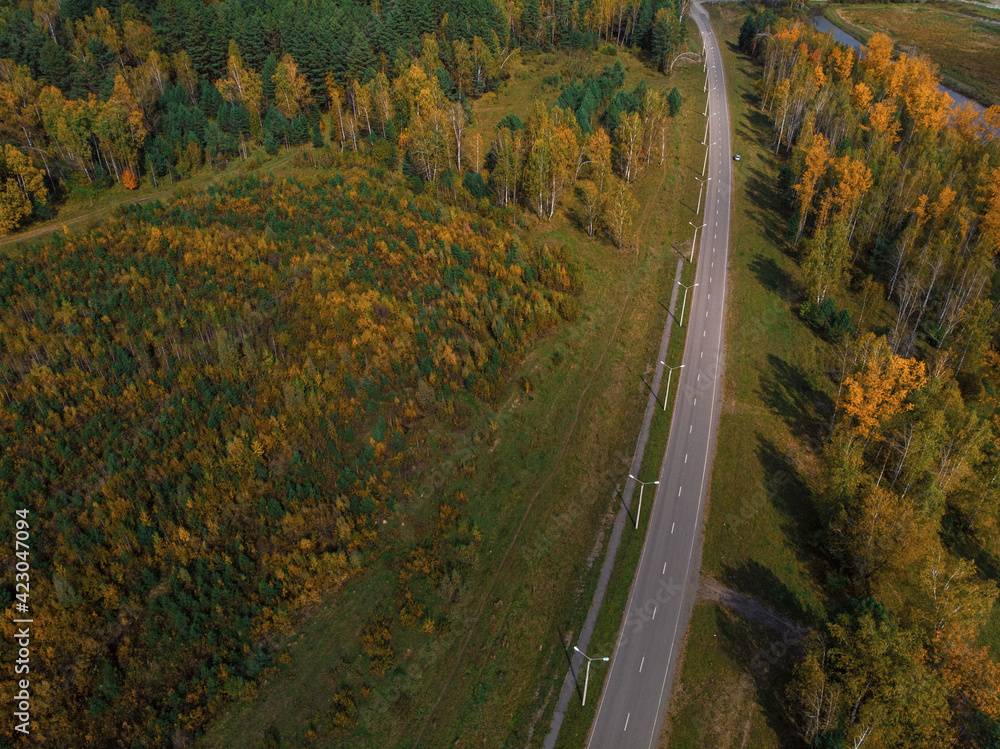 Fototapeta premium Aerial view of road in beautiful autumn Altai forest