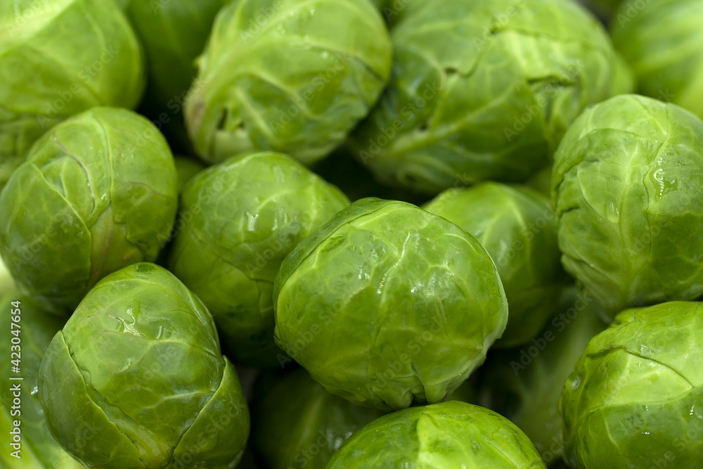 Fresh brussels sprouts close up. Organic product. Juicy, crispy cabbage. Fresh brussels sprouts close up. Organic product. Juicy, crispy cabbage.