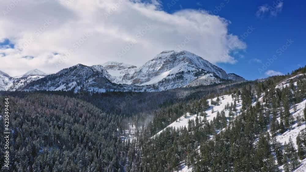 Aerial view over canyon with wind blowing snow through the trees viewing Timpanogos Mountain in winter. Aerial view over canyon with wind blowing snow through the trees viewing Timpanogos Mountain in winter.
