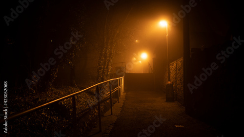 Fototapeta Naklejka Na Ścianę i Meble -  Night Prague streets in a fog with lights