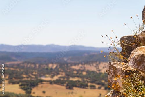 Panoramica, paisaje o vista en el pueblo de Aracena, provincia de Huelva, comunidad autonoma de Andalucia, pais de España