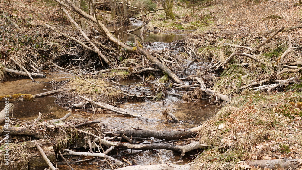 Der Forstelbach - Nähe Hermeskeil Der Forstelbach - Nähe Hermeskeil