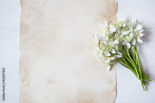 Bouquet of spring flowers of snowdrops on a white wooden background and vintage paper for text.