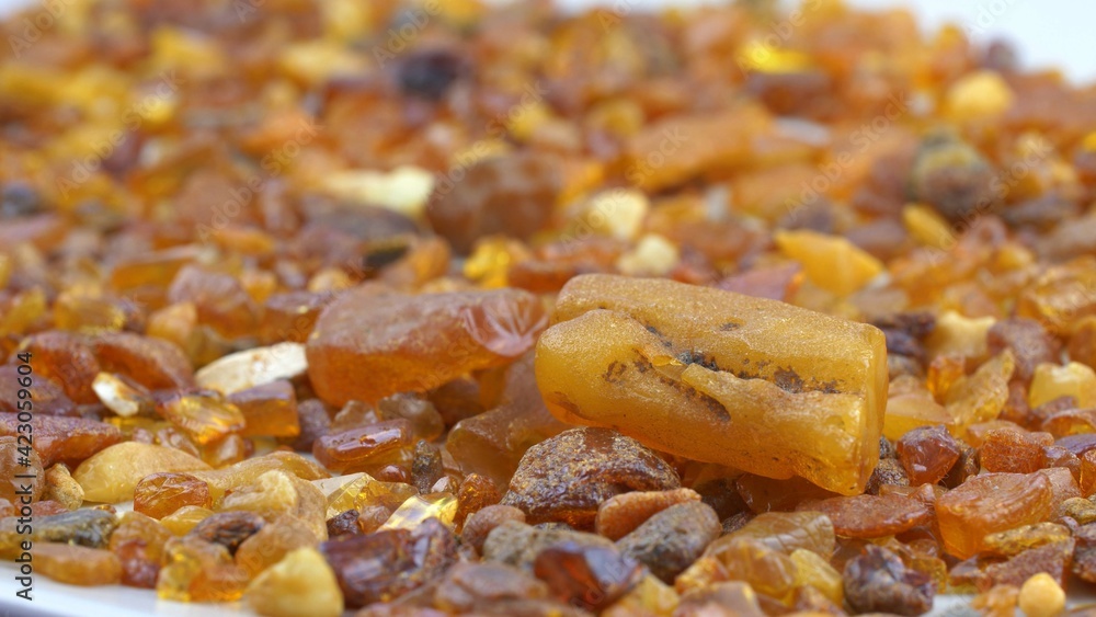 Amber Stones Collection Macro Close-up Amber Stones Collection Macro Close-up