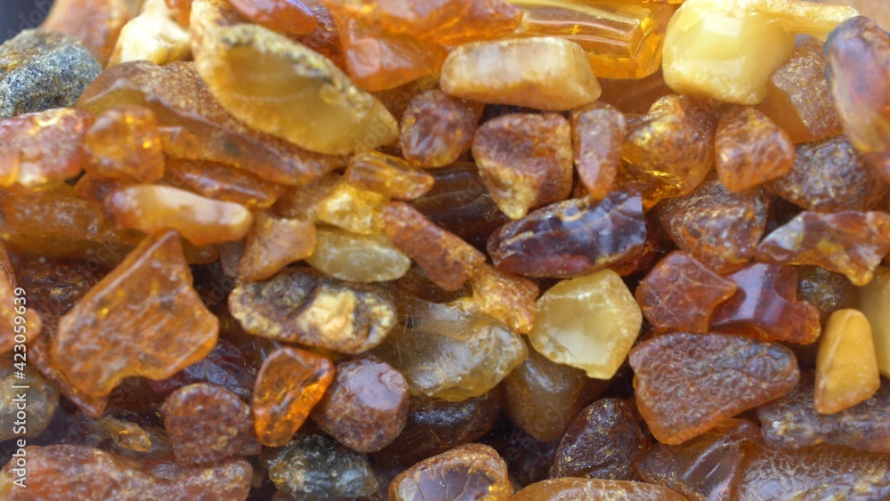 Amber Stones Collection Macro Close-up Amber Stones Collection Macro Close-up