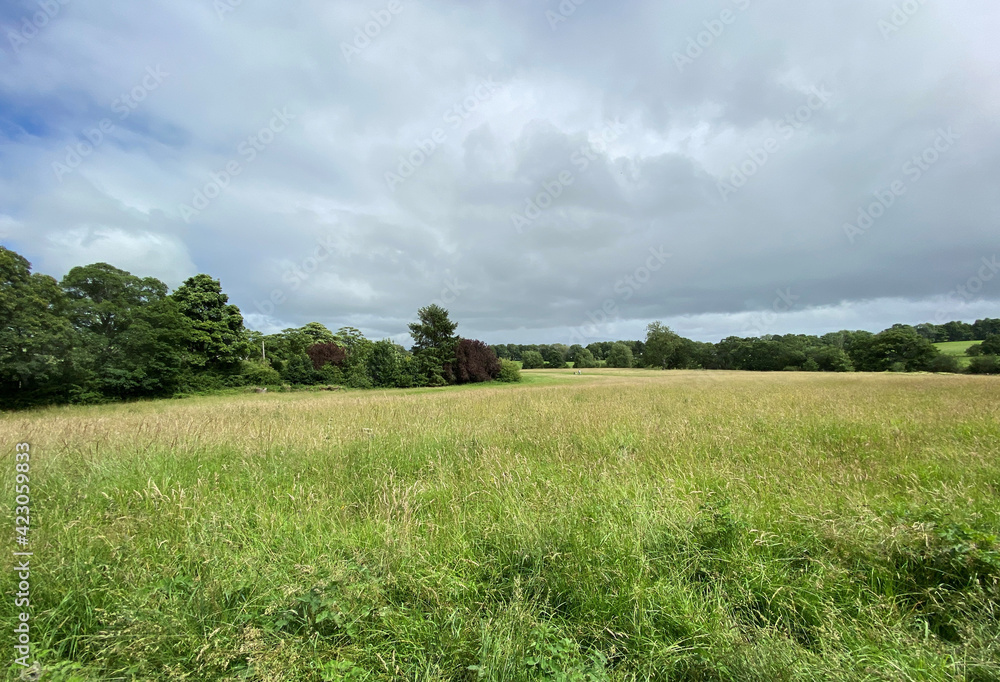 Tranquil view, over a large meadow, with long grass, with trees, and heavy cloud on the horizon near, Otley, Yorkshire, UK Tranquil view, over a large meadow, with long grass, with trees, and heavy cloud on the horizon near, Otley, Yorkshire, UK