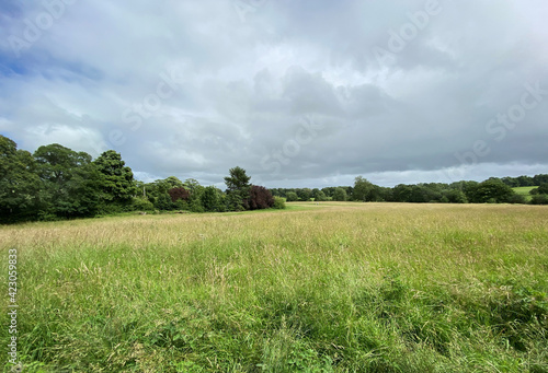 Tranquil view  over a large meadow  with long grass  with trees  and heavy cloud on the horizon near  Otley  Yorkshire  UK