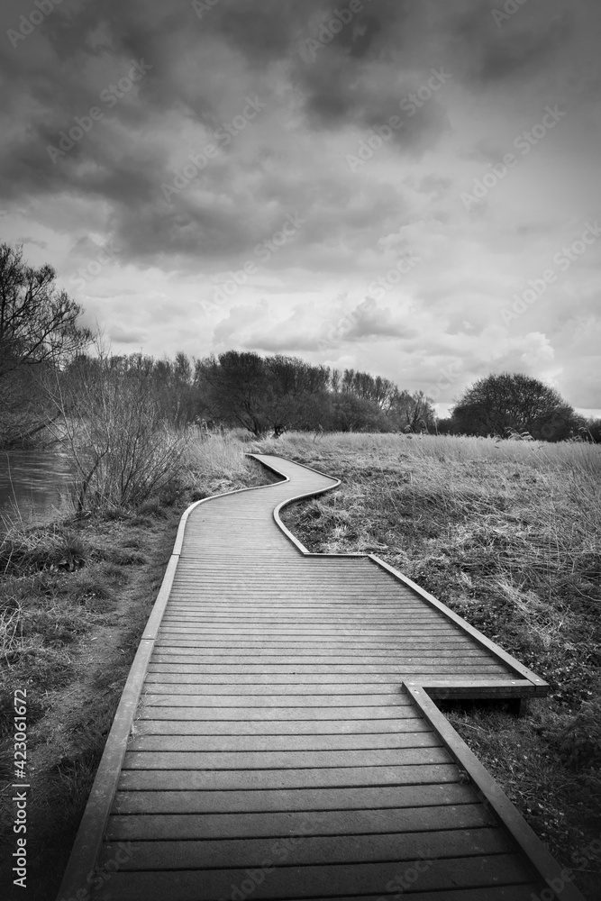 wooden boardwalk through marshes