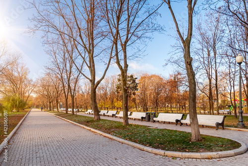 Urban autumn park in the rays of the sun.