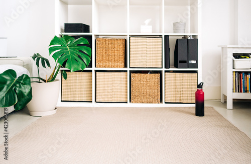 Light room with cabinet and potted green plant on carpet with bottle in house in daylight photo